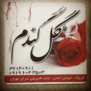‌وحید جدی