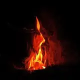 ?قشم فورج?