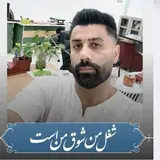 بهزاد صادق پور