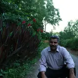 mansour zolfi