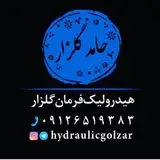 hamed golzar