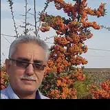 علی رنجبر بافقی