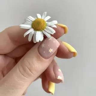 کاشت ناخن دریا nail.darya