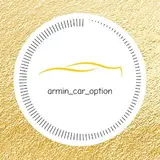 سیستم اتومبیل آرمین