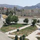رامین ویسی