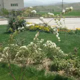 مصالح ساختمانی سامی