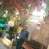 املاک امین