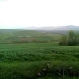 Qasabeh