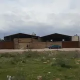 خوراک دام وطیور کاوه آبگرم