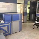 Alborz