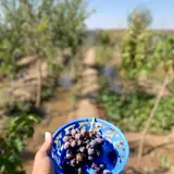 نظام مهندسی ساختمان سرایان