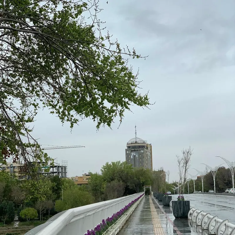 هلدینگ املاک پلاس