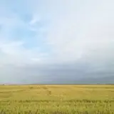 جوشکاری کمال جرجانی