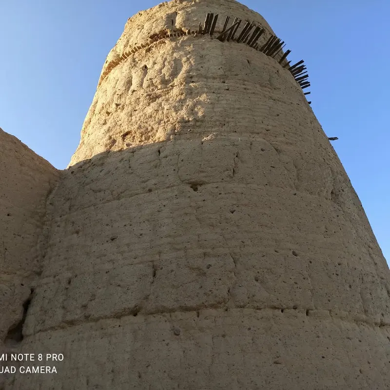 باغ خسروشاه