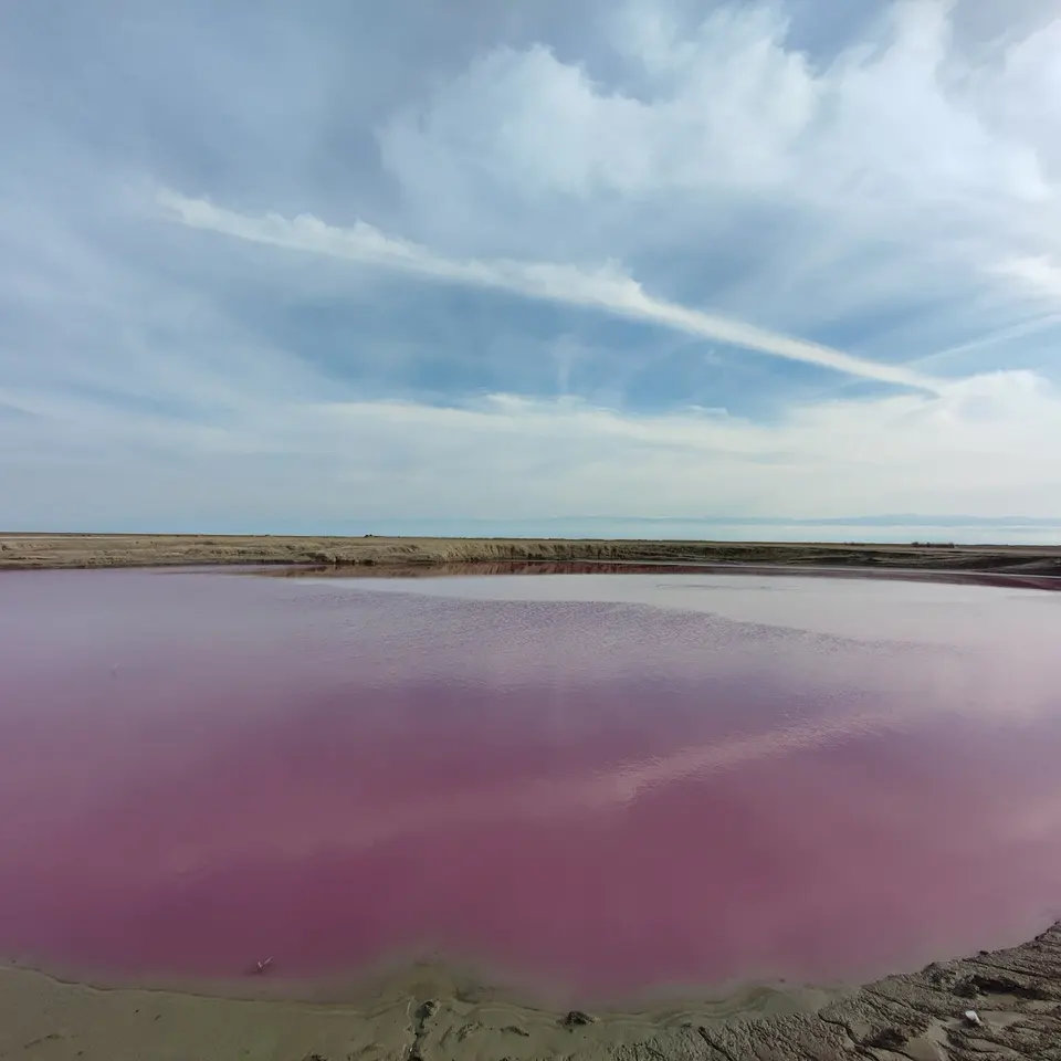 گلستان گمش تپه