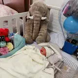 ماموت پلاستیک
