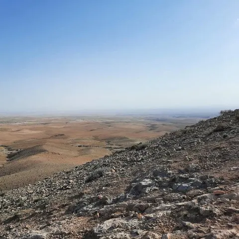 Meyami
