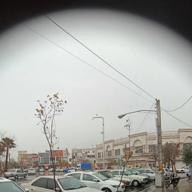 میدان توحید