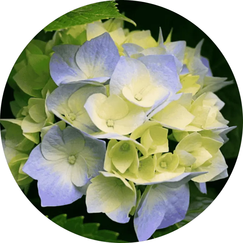 آموزشگاه مهرگان