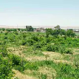 املاک حبیبی