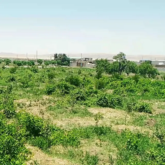 املاک حبیبی