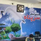 املاک سرپناه (با مدیریت محمدی)