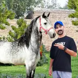 ایران لرستان شهرستان بروجرد