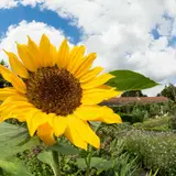 آموزشگاه علمی توان دانش