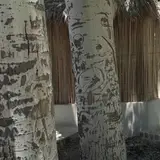 بردسیر