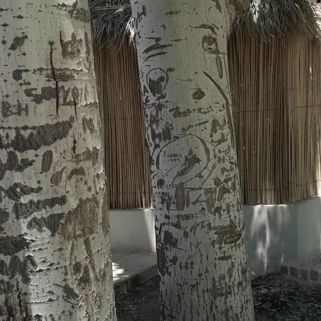بردسیر