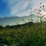 املاک ایران زمین