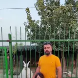 مصالح فروشی اسماعیلی