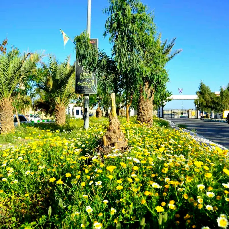 کامپیوتر کامیار
