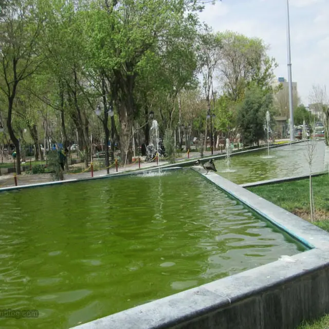 عمرانی