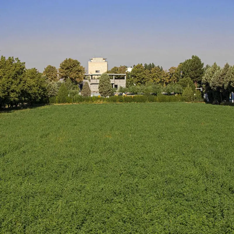شرکت بیدستان(دفتر قزوین)