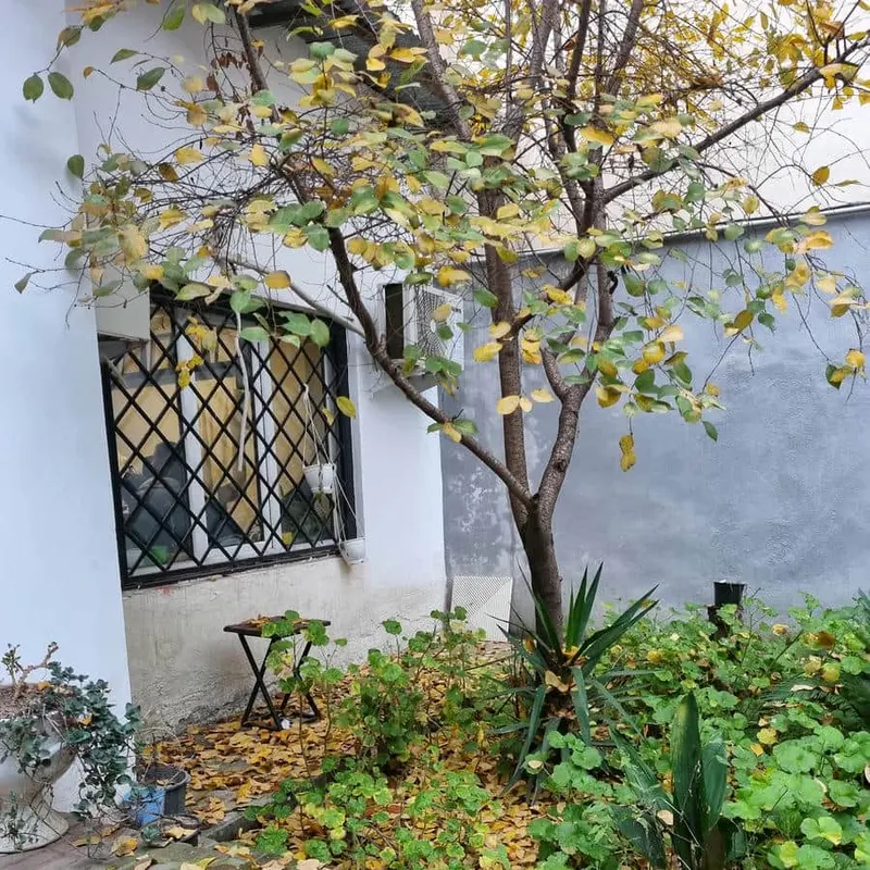 گروه معماری بام