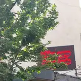 Razavi Educational Complex