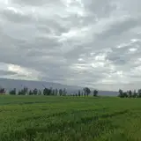 مجتمع آپارتمان های مسکن و شهرسازی(۹۹ساله)