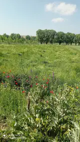 ناحیه صنعتی نیر