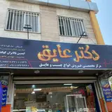 پیشگامان مدرن سازه دیلم