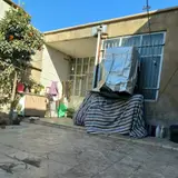 دپارتمان املاک صالحیه