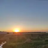 املاک کاج (نهاوند)