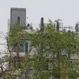گروه مهندسی شبکه سبز