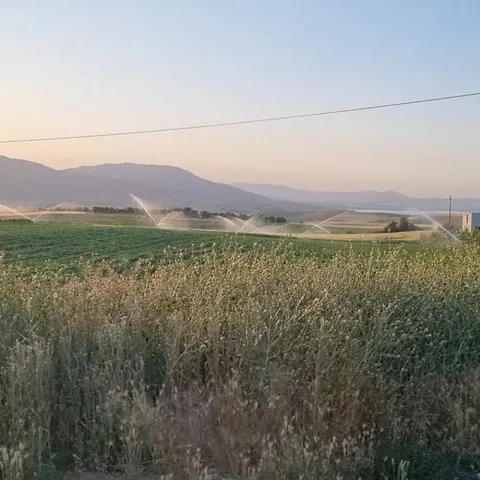 سقز