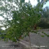 دفتر فنی مهندسی و طراحی ابنیه دکورا