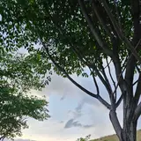 ساختمان بهار