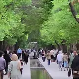 شرکت مهندسی تدبیر اندیشان هوشمند درنیکا