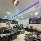 املاک گیشا