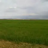 گروه مهندسی آروند
