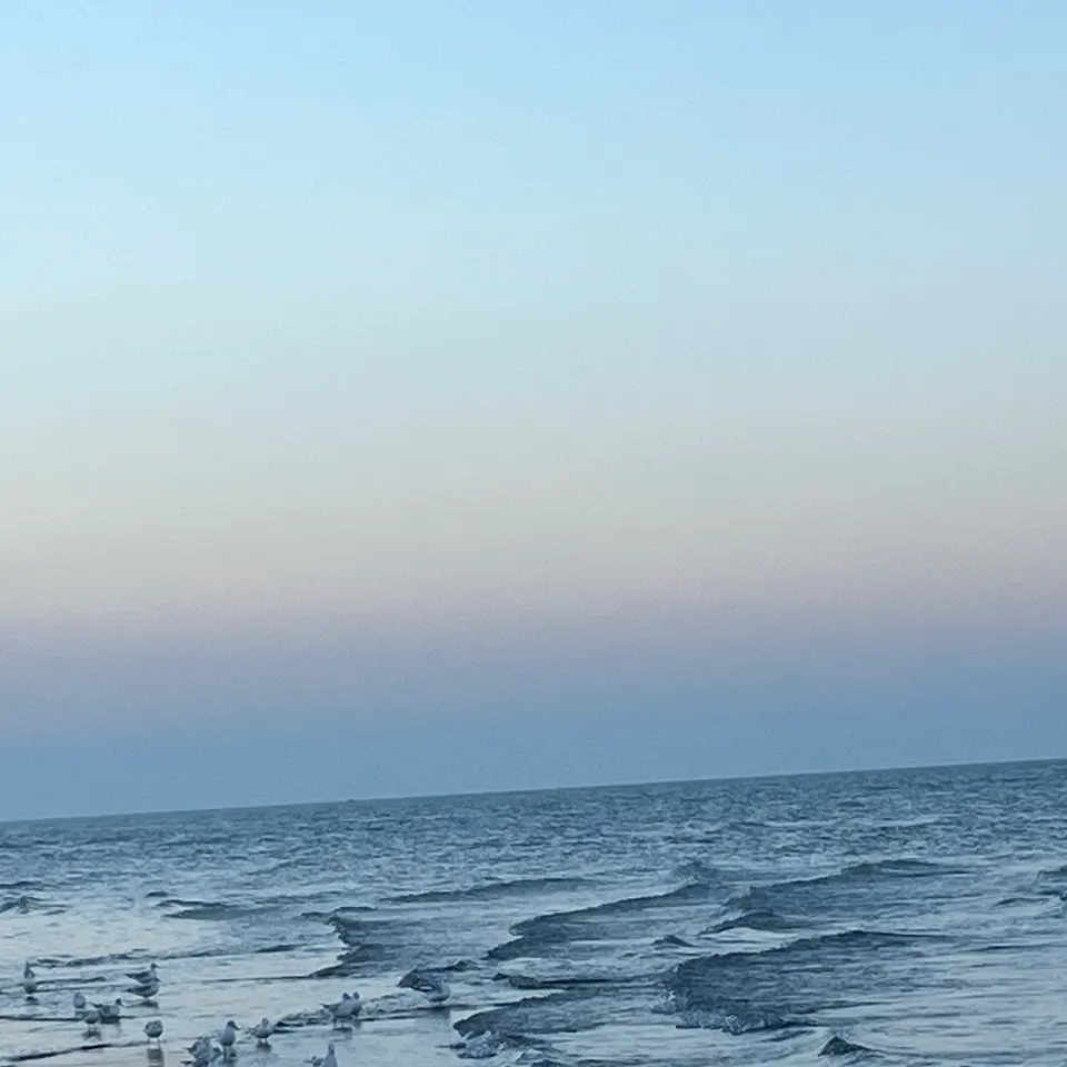 ساحل عباس اباد